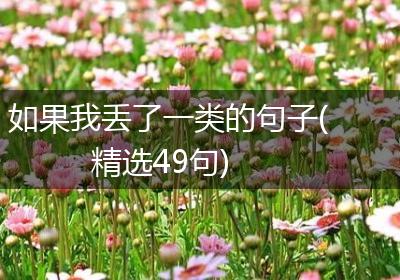 如果我丢了一类的句子(精选49句)