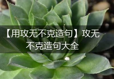 【用攻无不克造句】攻无不克造句大全