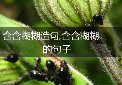 含含糊糊造句,含含糊糊的句子