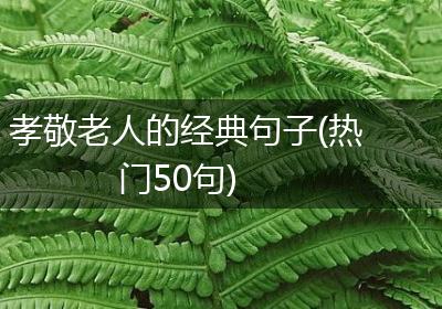 孝敬老人的经典句子(热门50句)
