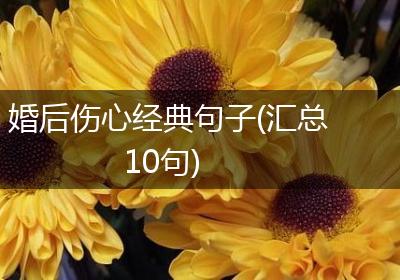 婚后伤心经典句子(汇总10句)
