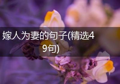 嫁人为妻的句子(精选49句)