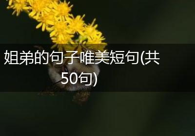 姐弟的句子唯美短句(共50句)