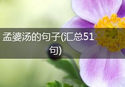 孟婆汤的句子(汇总51句)