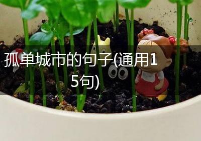 孤单城市的句子(通用15句)