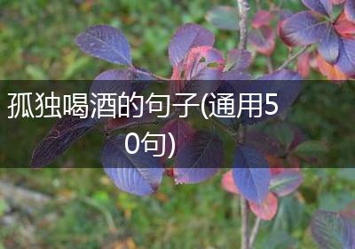 孤独喝酒的句子(通用50句)