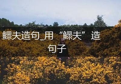 鳏夫造句_用“鳏夫”造句子