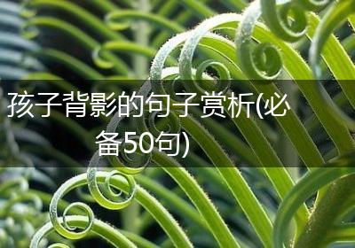孩子背影的句子赏析(必备50句)