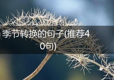 季节转换的句子(推荐40句)