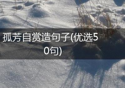 孤芳自赏造句子(优选50句)