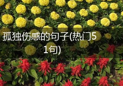 孤独伤感的句子(热门51句)