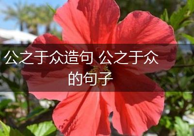 公之于众造句 公之于众的句子
