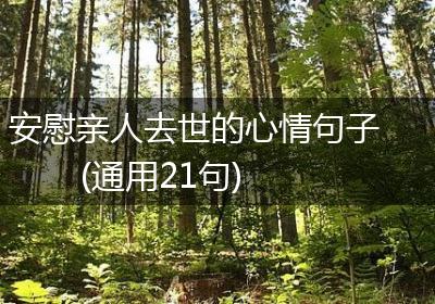 安慰亲人去世的心情句子(通用21句)