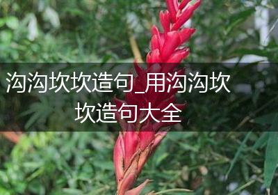 沟沟坎坎造句_用沟沟坎坎造句大全