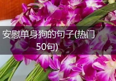 安慰单身狗的句子(热门50句)