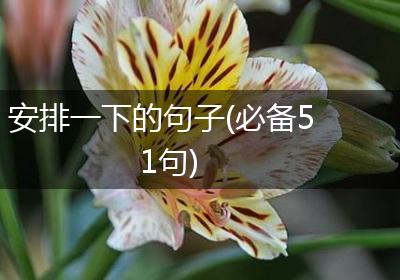 安排一下的句子(必备51句)