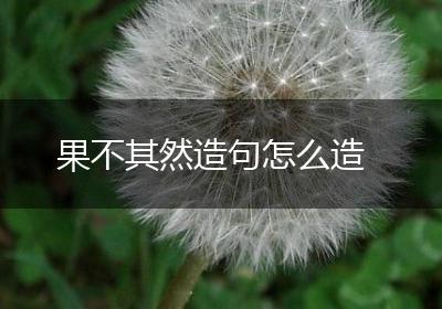 果不其然造句怎么造