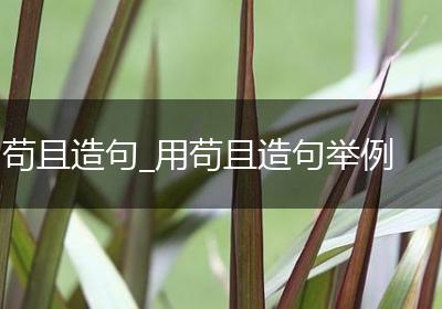 苟且造句_用苟且造句举例