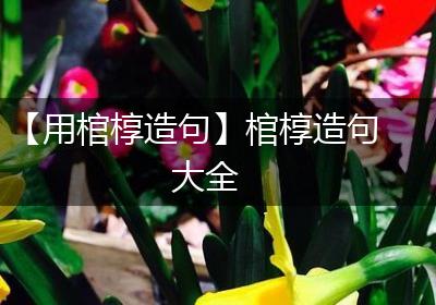 【用棺椁造句】棺椁造句大全