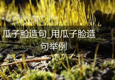 瓜子脸造句_用瓜子脸造句举例