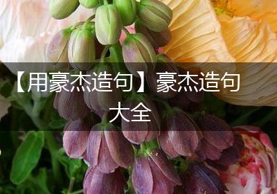 【用豪杰造句】豪杰造句大全