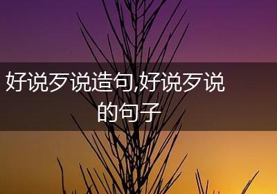 好说歹说造句,好说歹说的句子