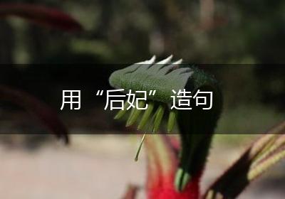 用“后妃”造句