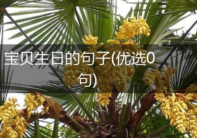 宝贝生日的句子(优选0句)