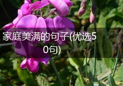 家庭美满的句子(优选50句)