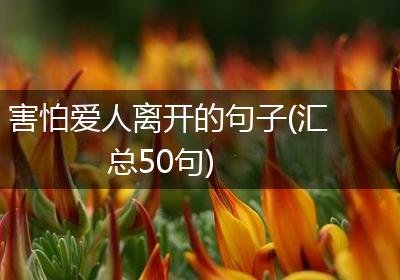 害怕爱人离开的句子(汇总50句)