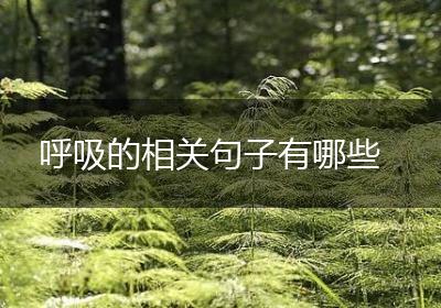 呼吸的相关句子有哪些