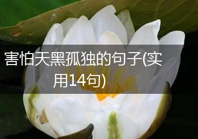 害怕天黑孤独的句子(实用14句)