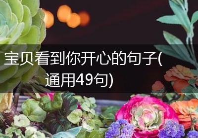 宝贝看到你开心的句子(通用49句)