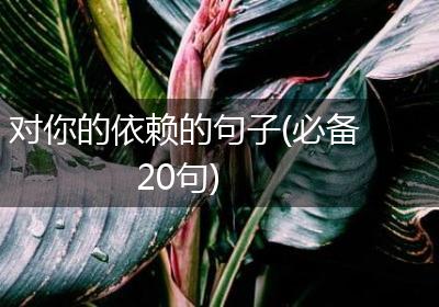 对你的依赖的句子(必备20句)