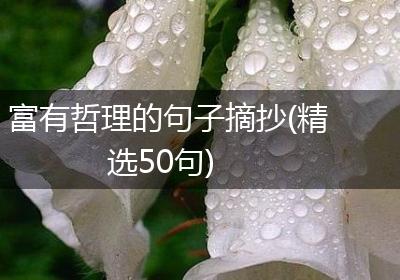 富有哲理的句子摘抄(精选50句)