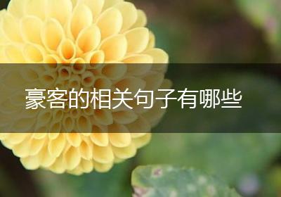 豪客的相关句子有哪些