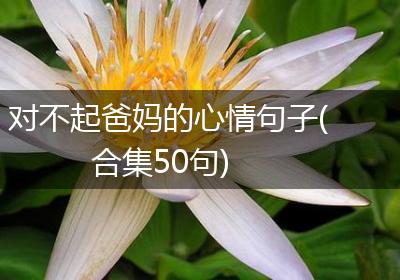 对不起爸妈的心情句子(合集50句)