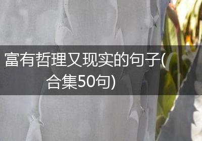 富有哲理又现实的句子(合集50句)