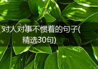 对人对事不惯着的句子(精选30句)