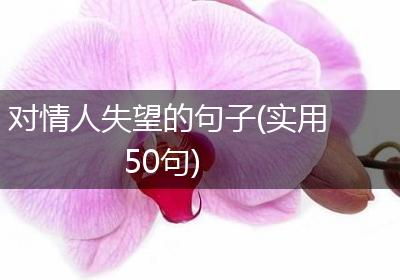 对情人失望的句子(实用50句)