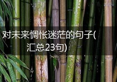 对未来惆怅迷茫的句子(汇总23句)