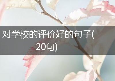对学校的评价好的句子(20句)