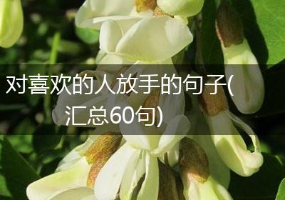 对喜欢的人放手的句子(汇总60句)