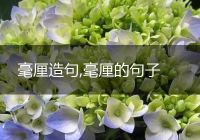 毫厘造句,毫厘的句子