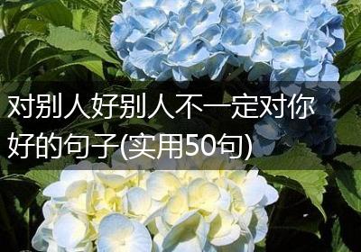 对别人好别人不一定对你好的句子(实用50句)