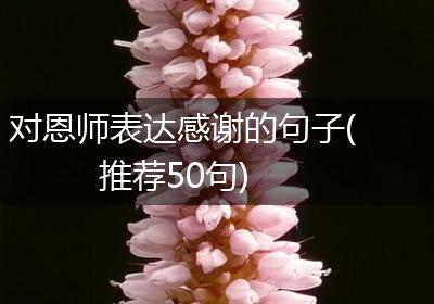 对恩师表达感谢的句子(推荐50句)