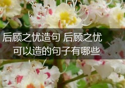 后顾之忧造句 后顾之忧可以造的句子有哪些