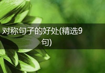 对称句子的好处(精选9句)