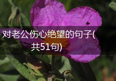 对老公伤心绝望的句子(共51句)