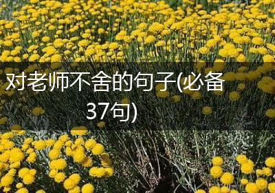 对老师不舍的句子(必备37句)